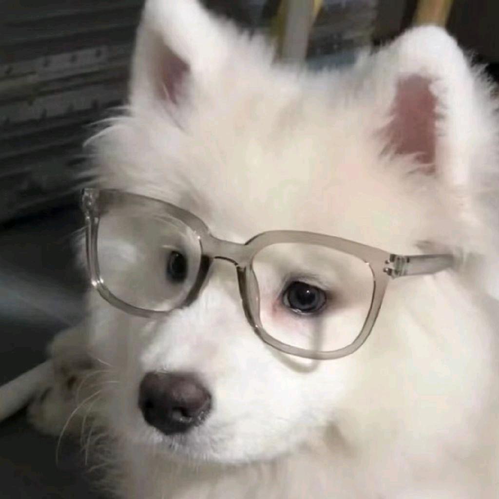 端木木木_