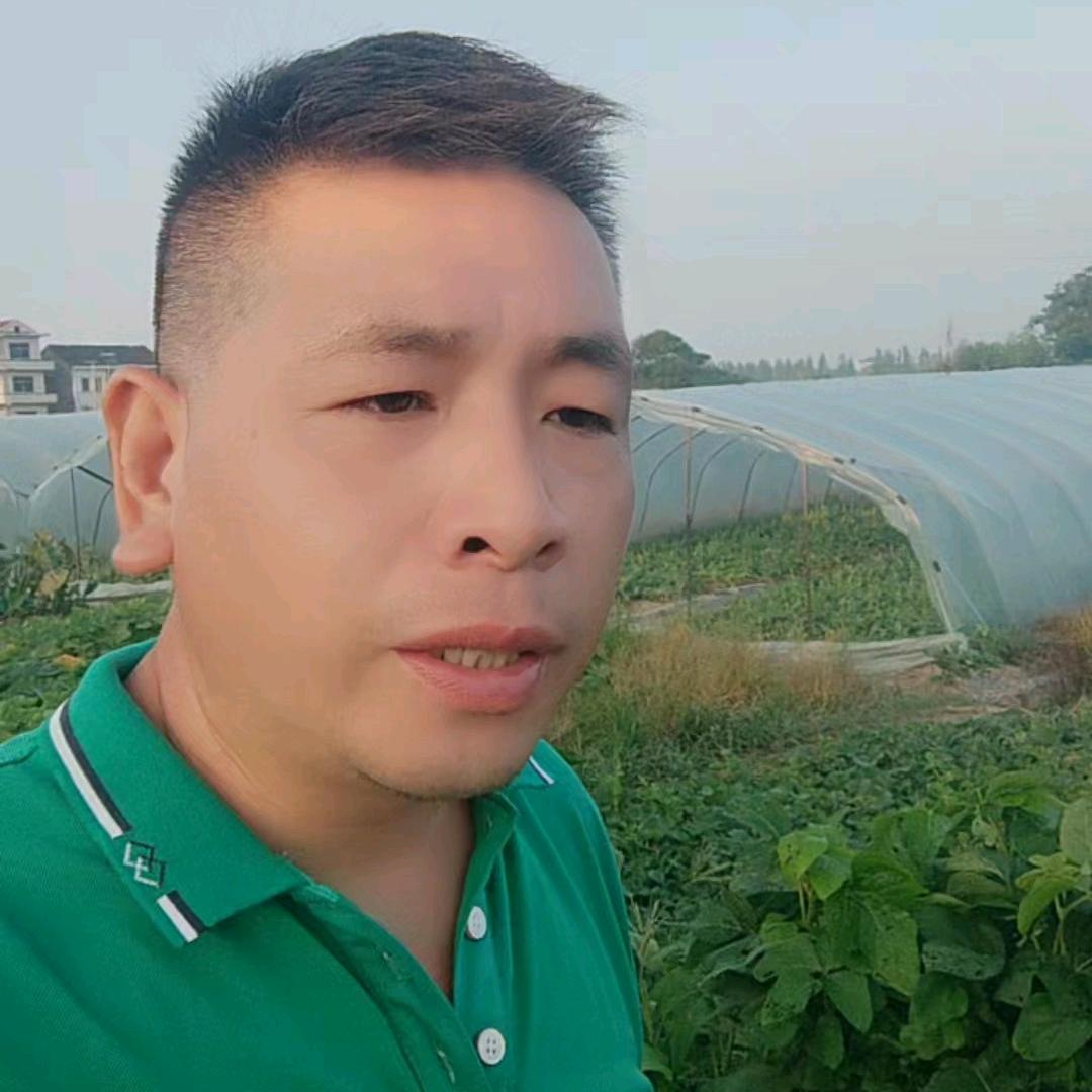 瓜农小叔