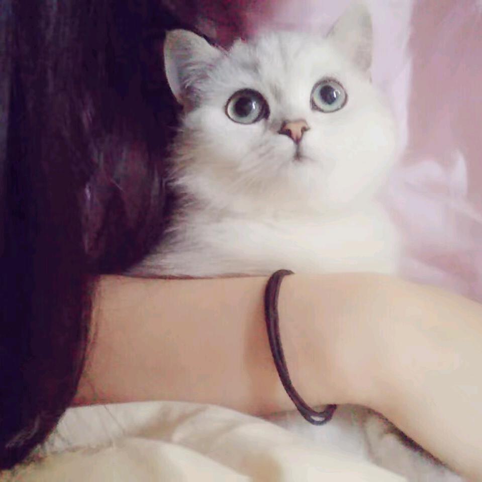 慢慢