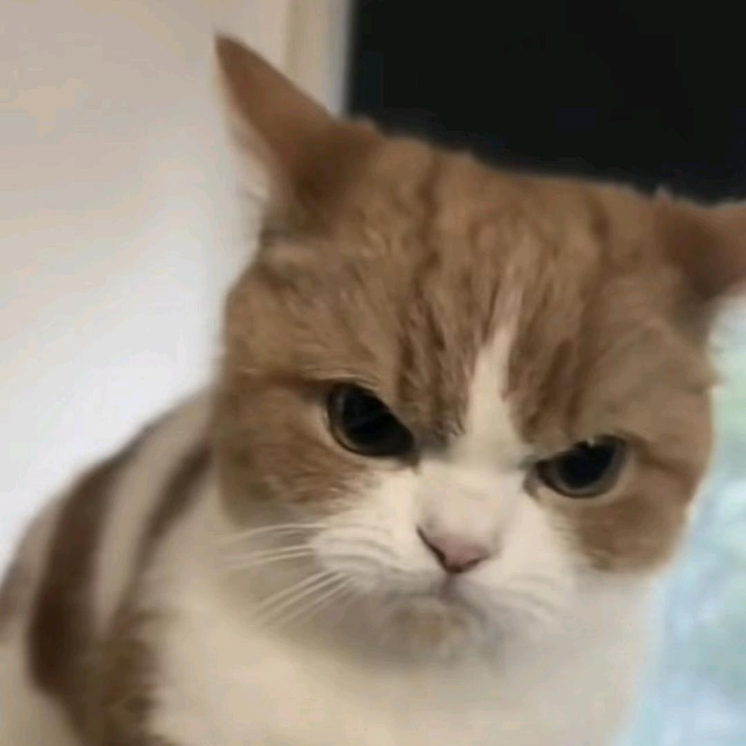 雾迷之