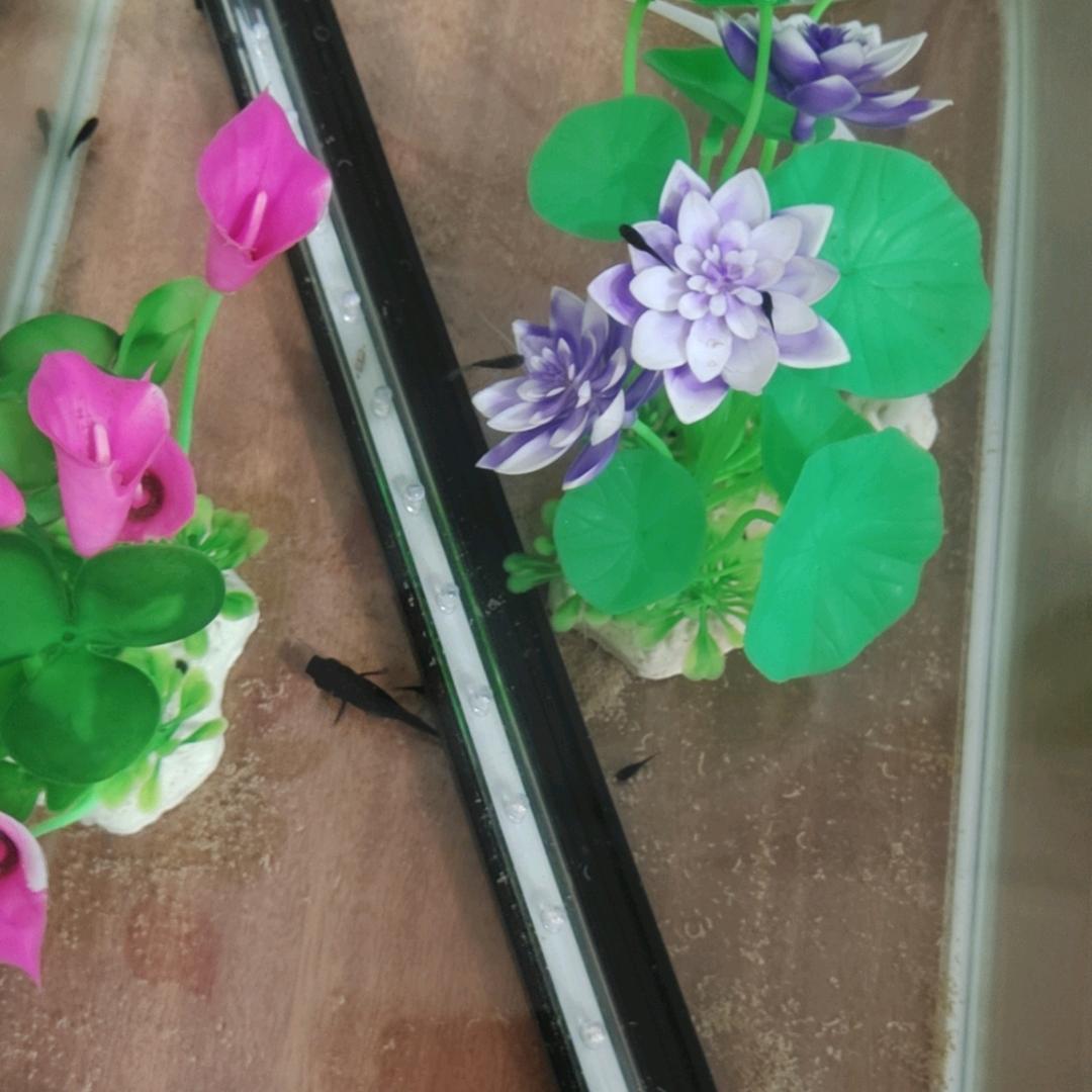 ໑ຼₒ໑ຼ₅从💰薪꯭፝এ开始ꦿഒ