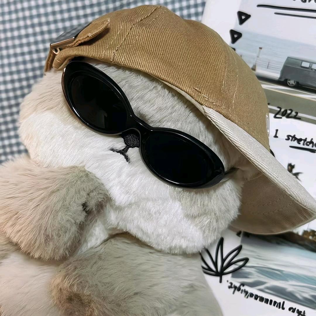 季布衫🌈