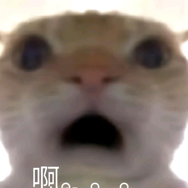 Zerooo
