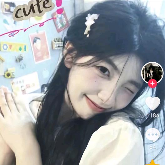 鱼丸是一个海怡妹妹