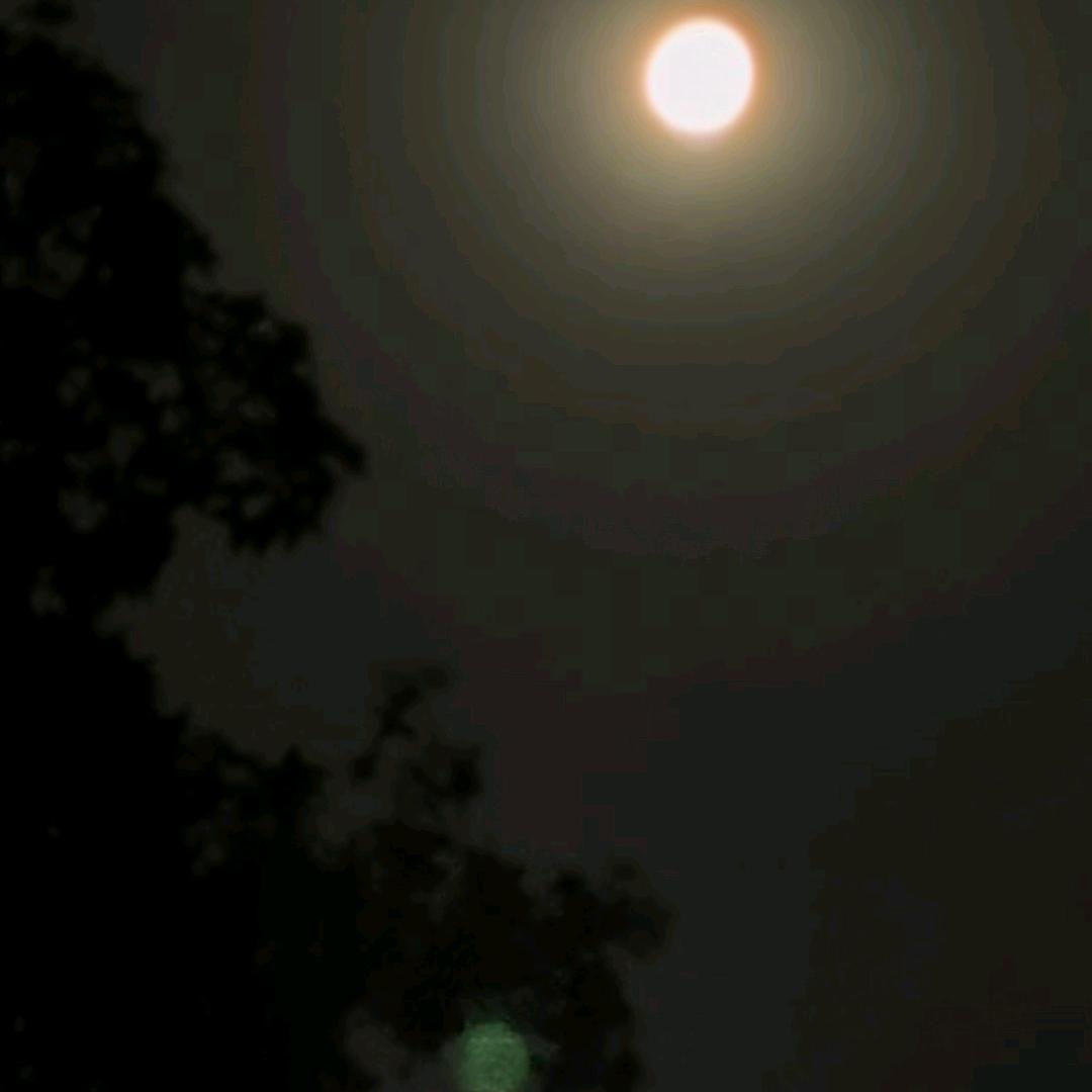 汐子