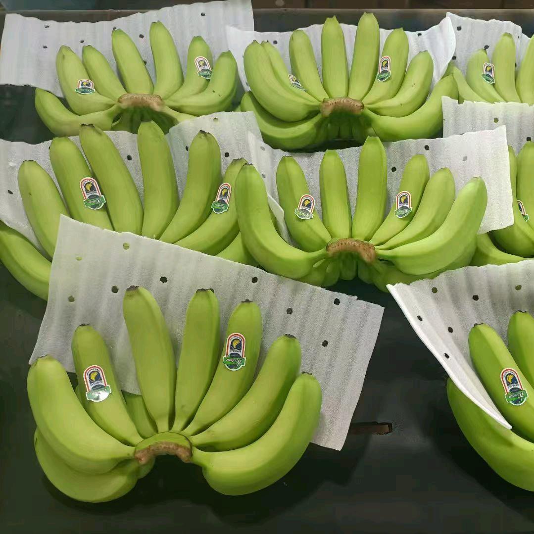 香蕉小王子