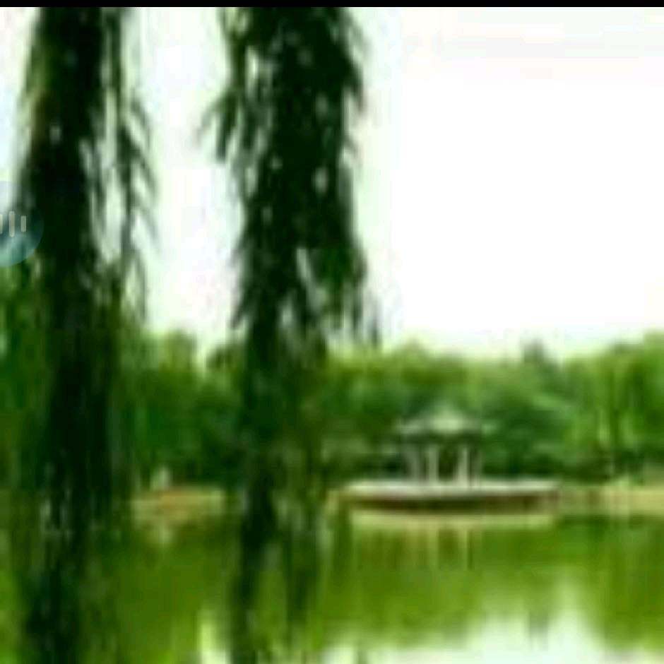 天使之梦