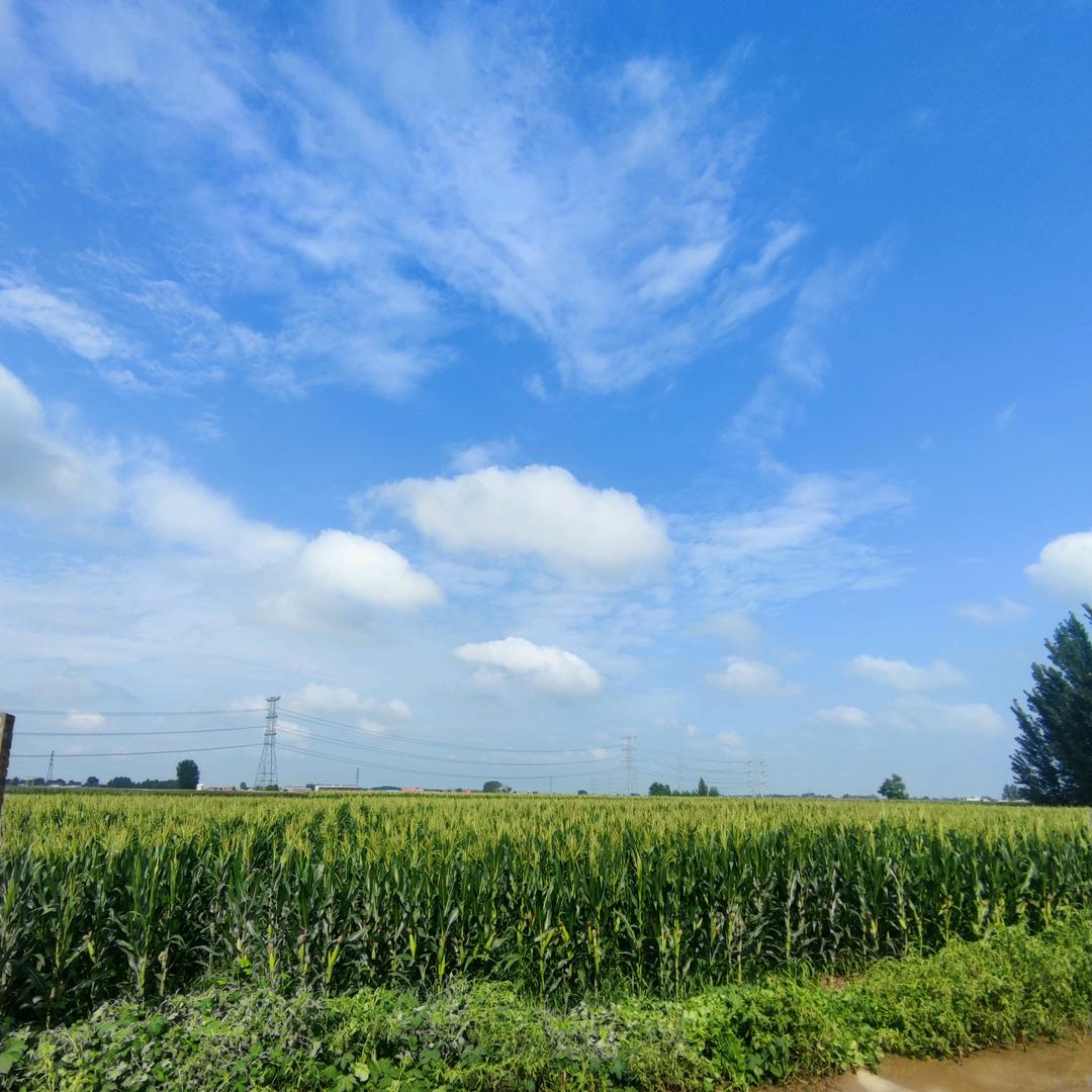 最熟悉的陌生人