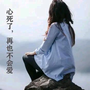 也了再也不爱了