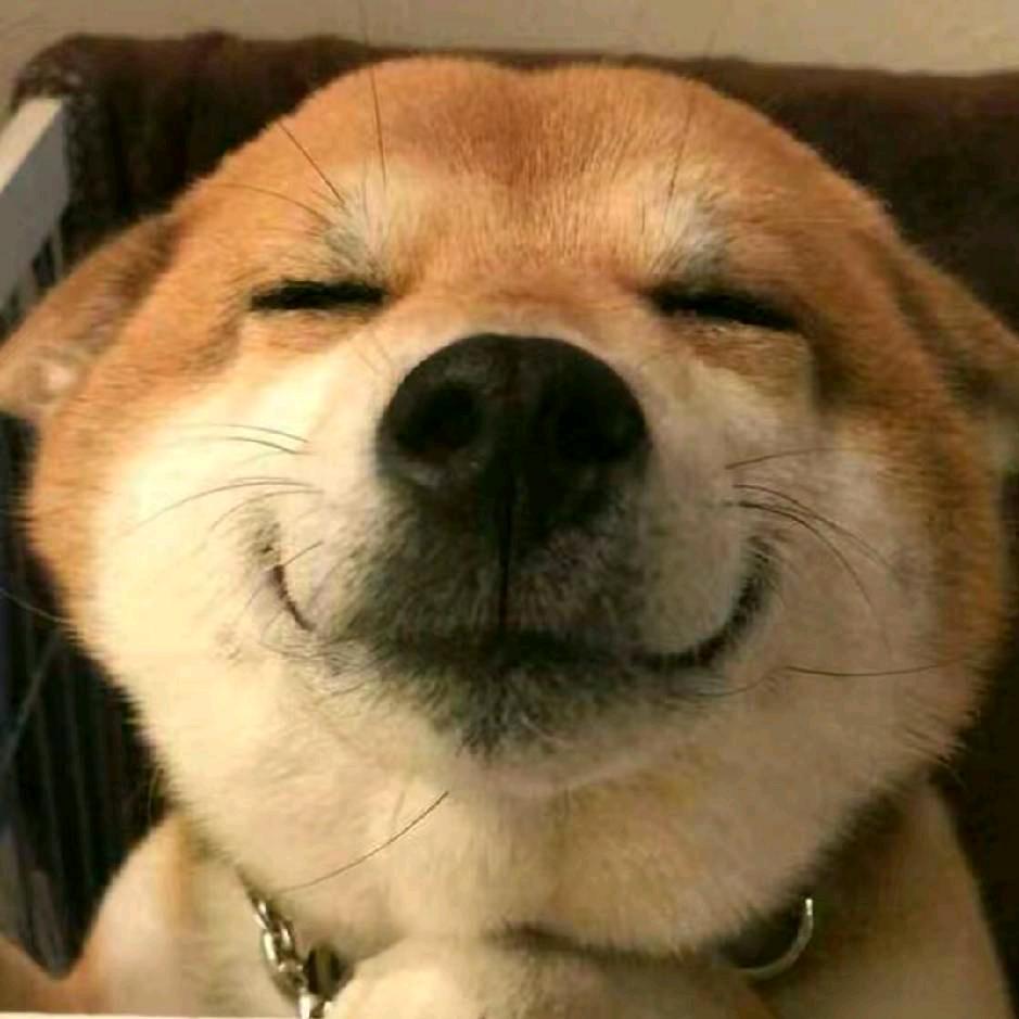 修✓
