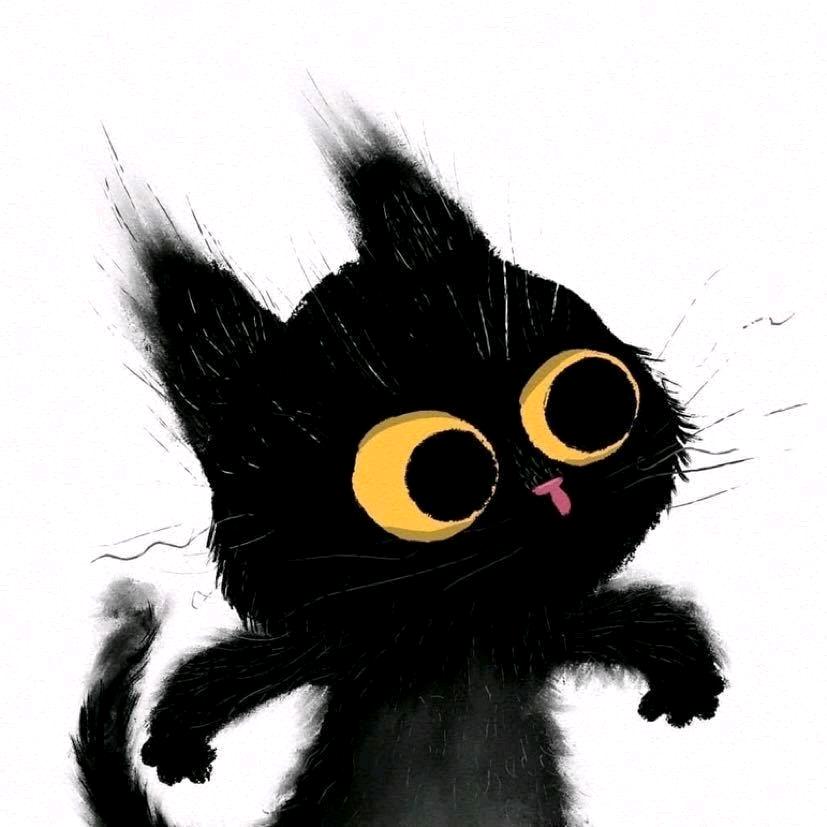 𝓣𝓸𝓶 𝓒𝓪𝓽🐾💫