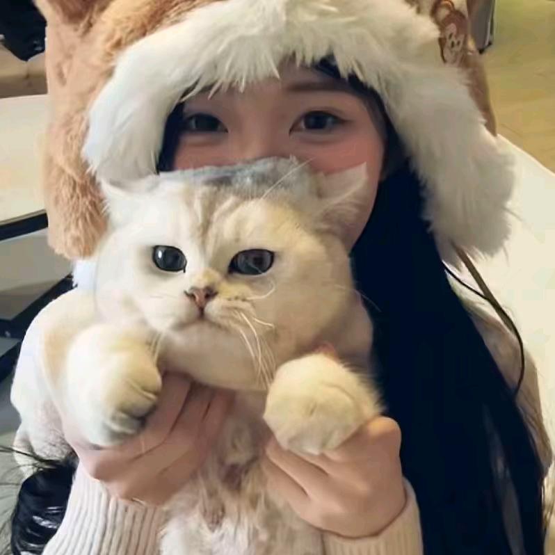 两碗猫拌饭
