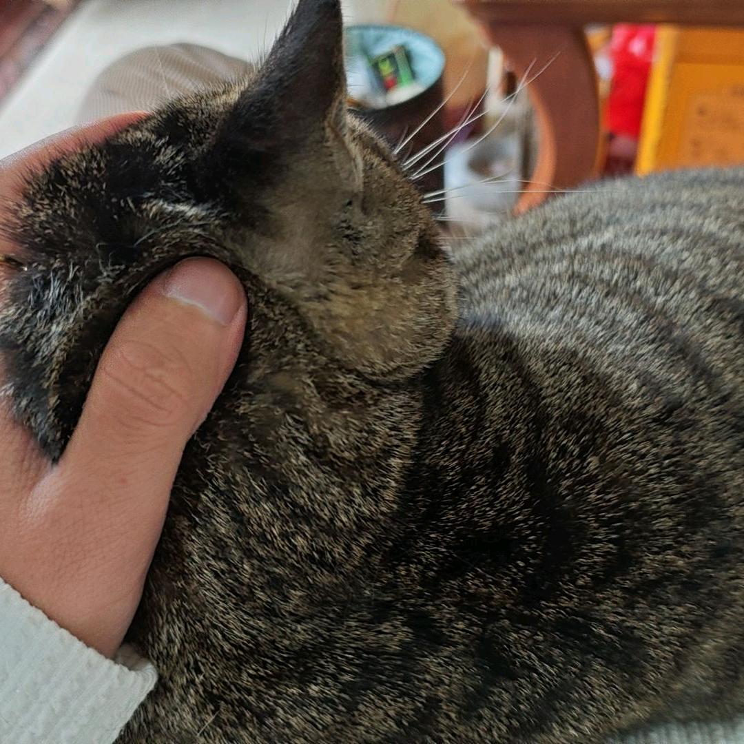 开心(ง •̀_•́)ง