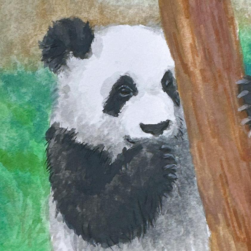 追月亮的小熊猫