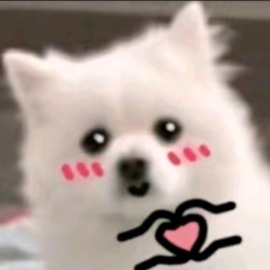 梦求真（暗区突围）