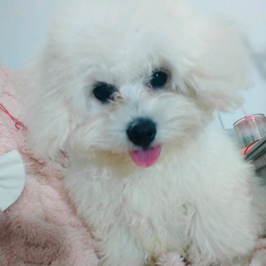 涵涵💞小号ℒᎭℯ⃝࿐