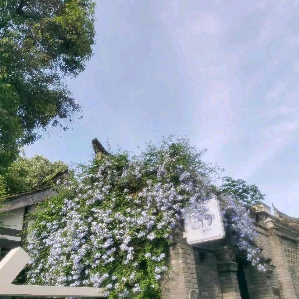 李lee