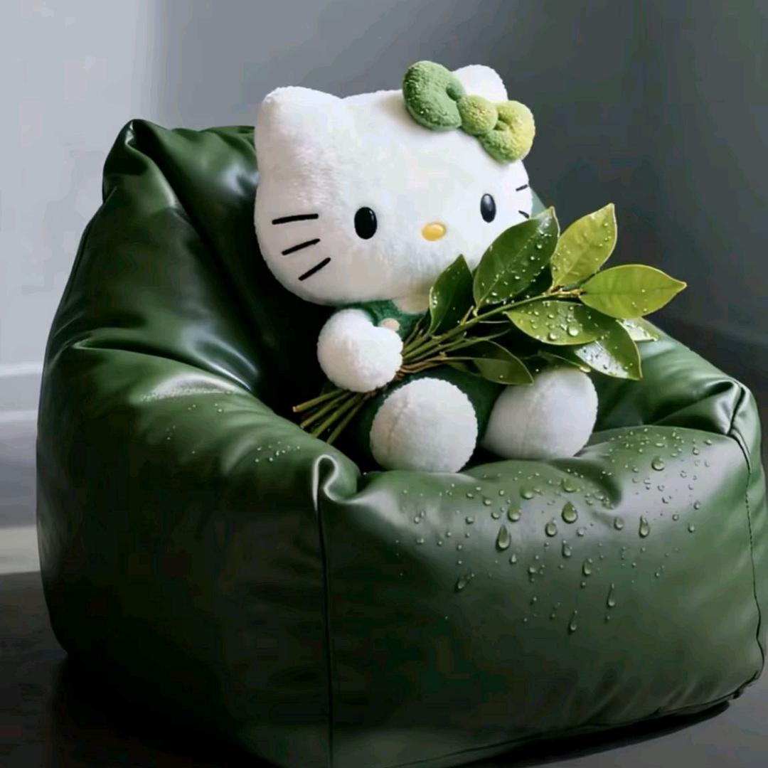 骑鱼过海的猫🐈︎