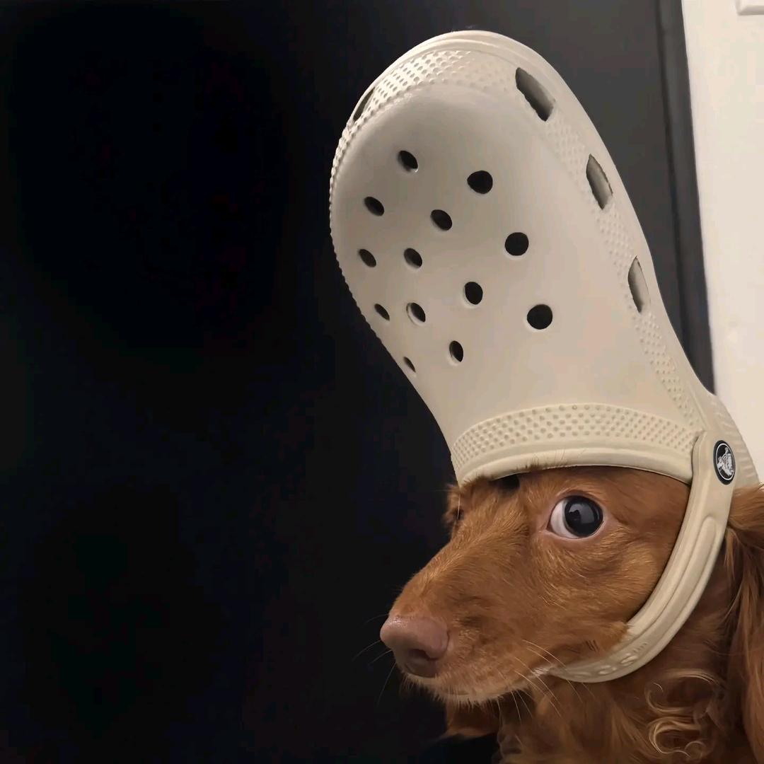 一点也不好笑