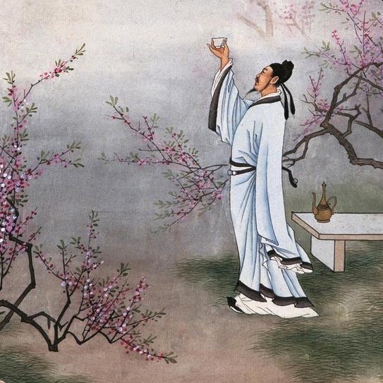 周口恐龙园团购