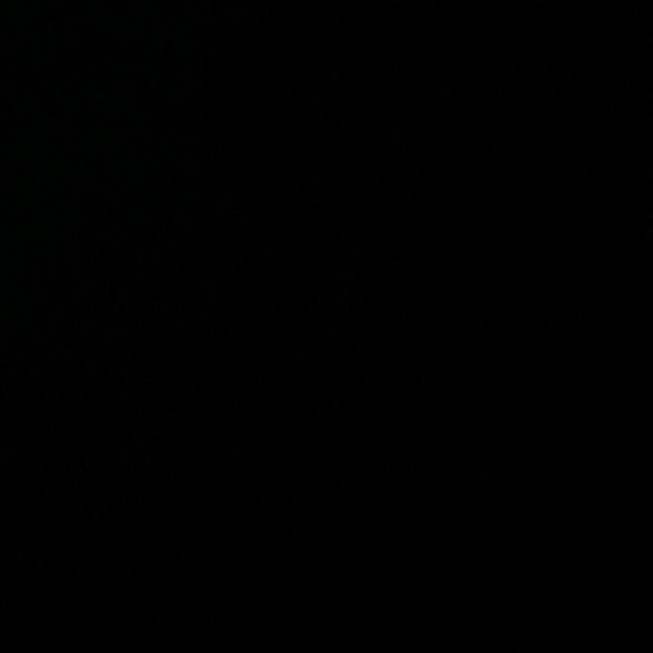 小洋,,