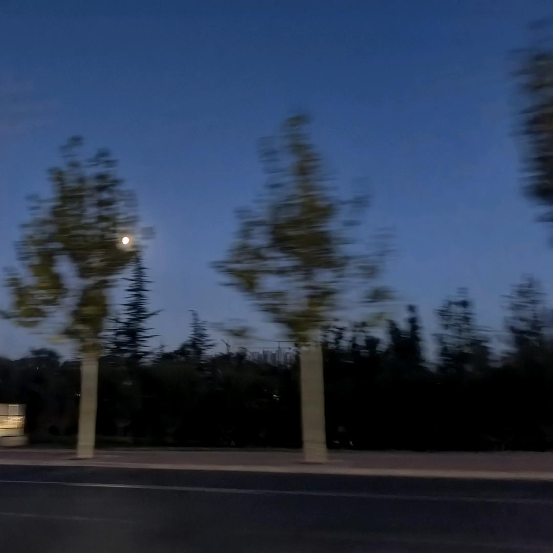 我想做一次时间刺客