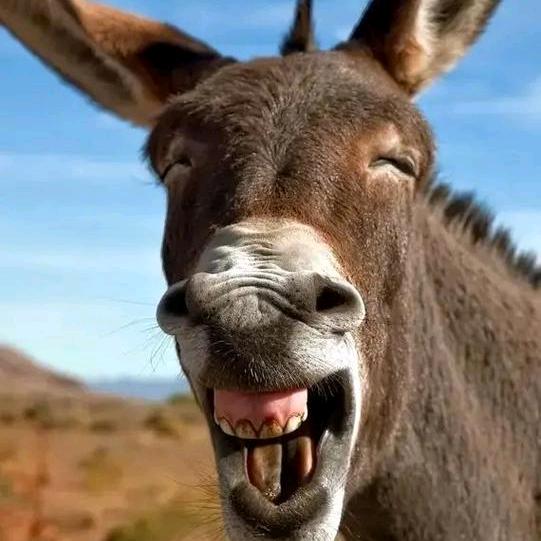 威海”老湿子”