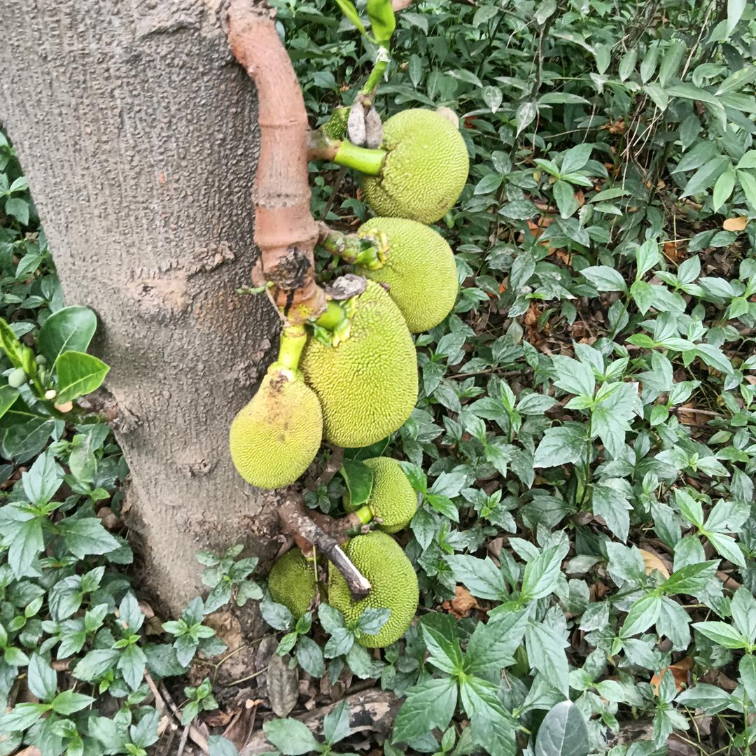 为了生活前进，加油93年的