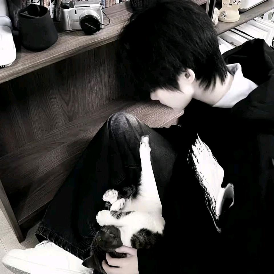 挽情