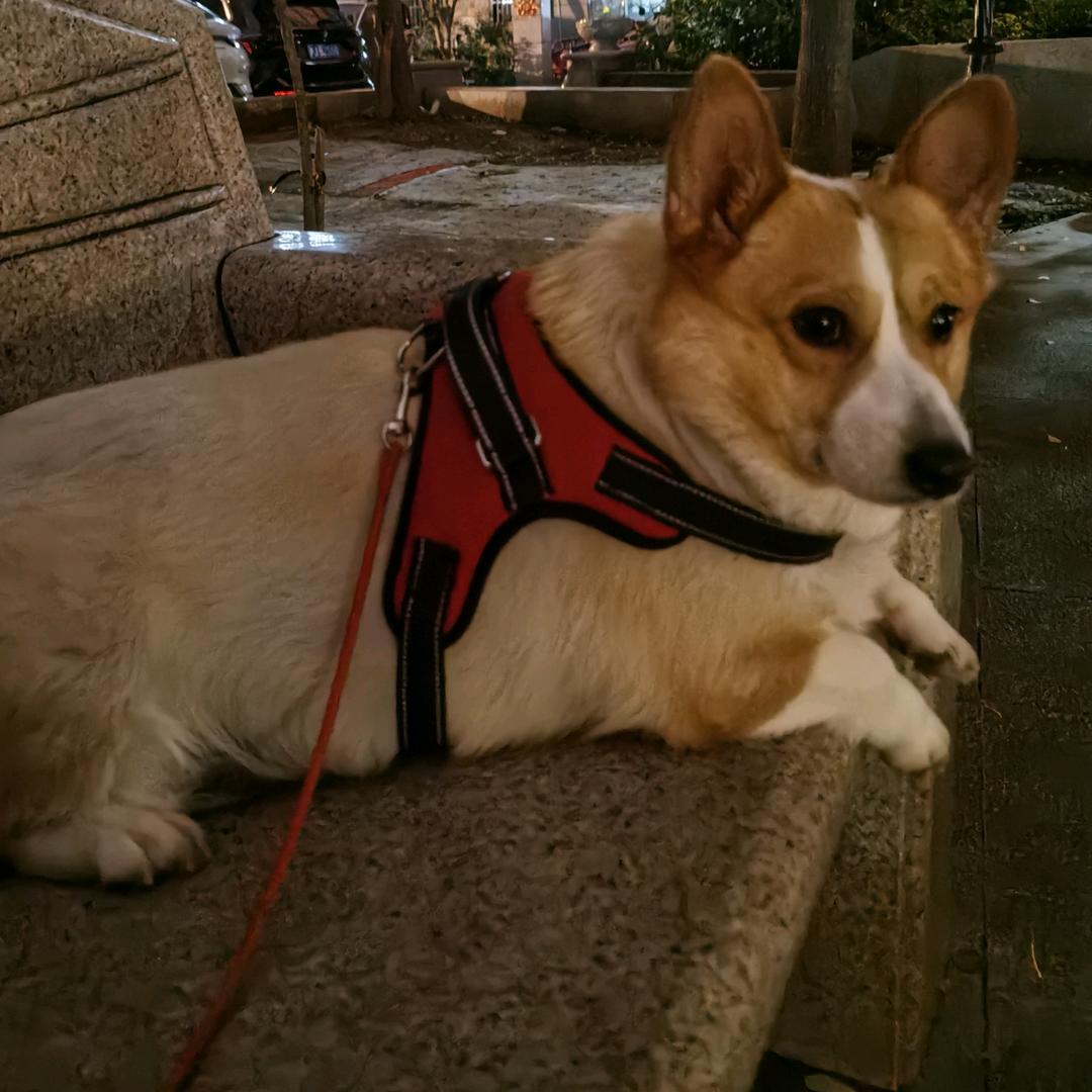 经过