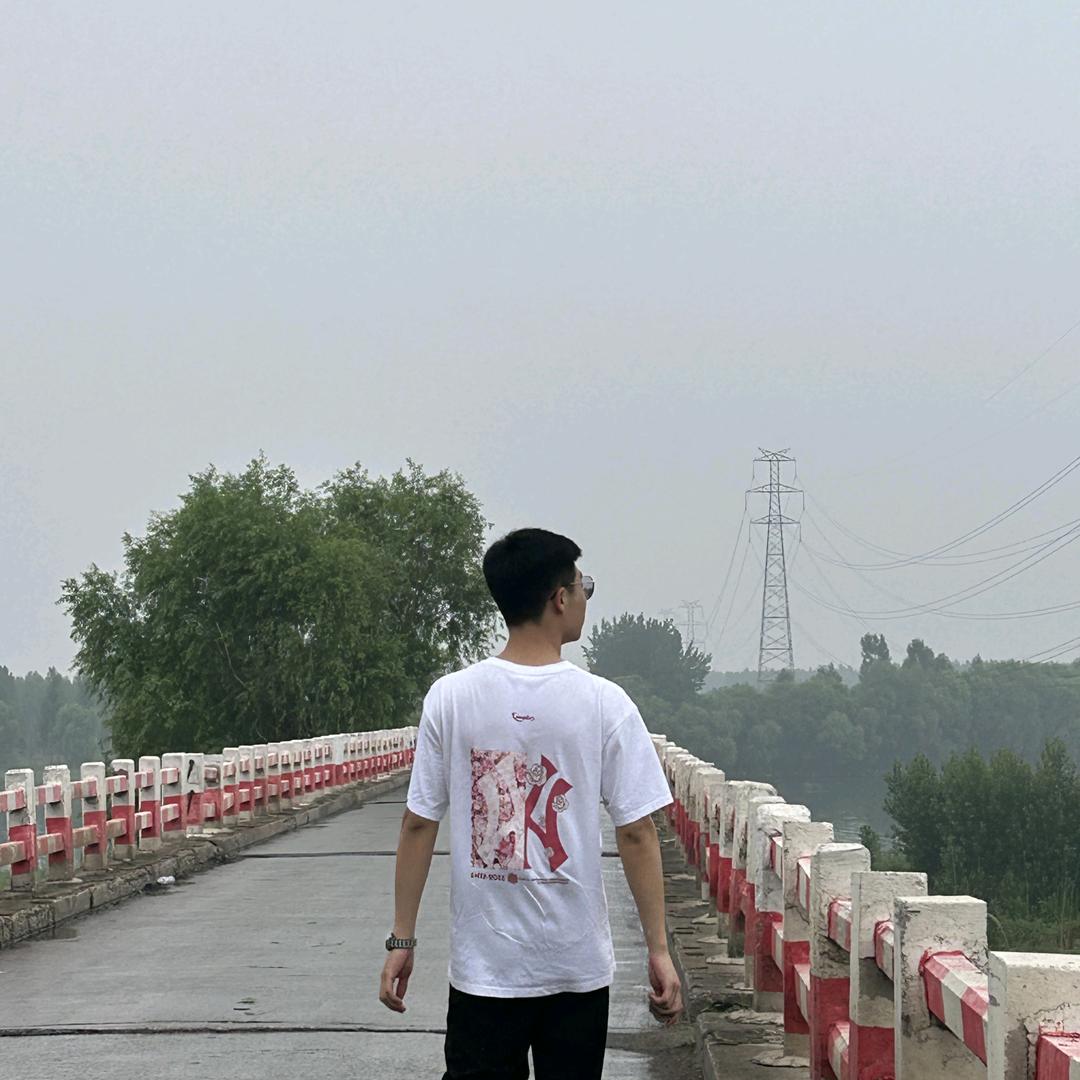 趙z.