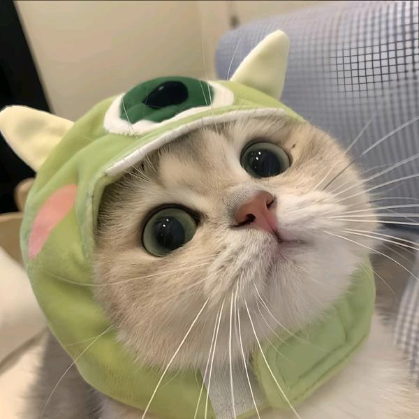 陈默丫