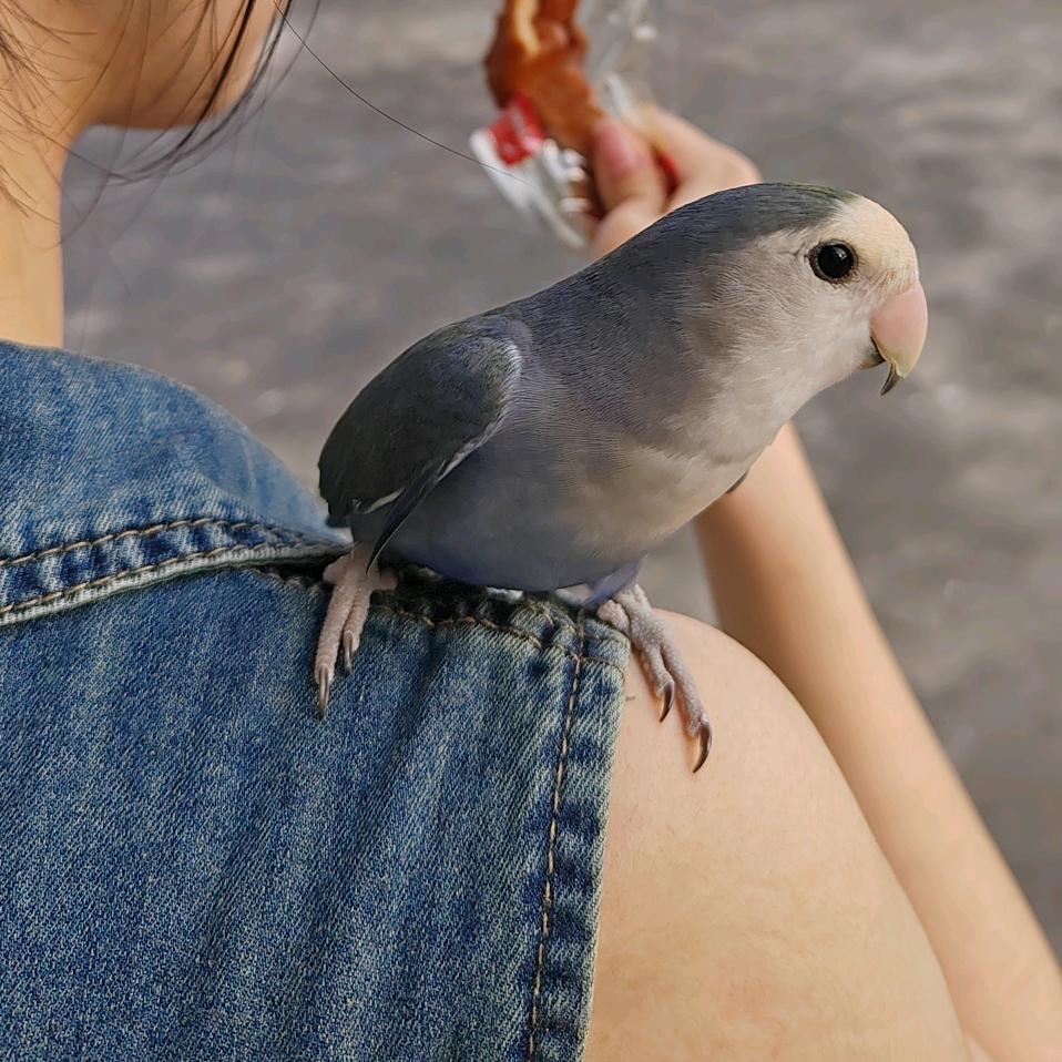 JLH🥝
