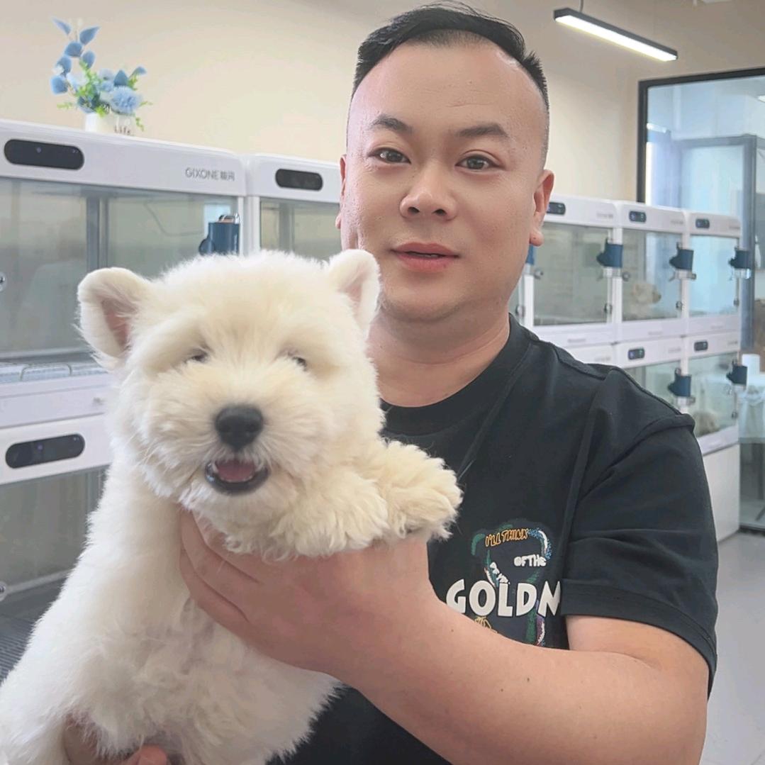 宏哥家西高地
