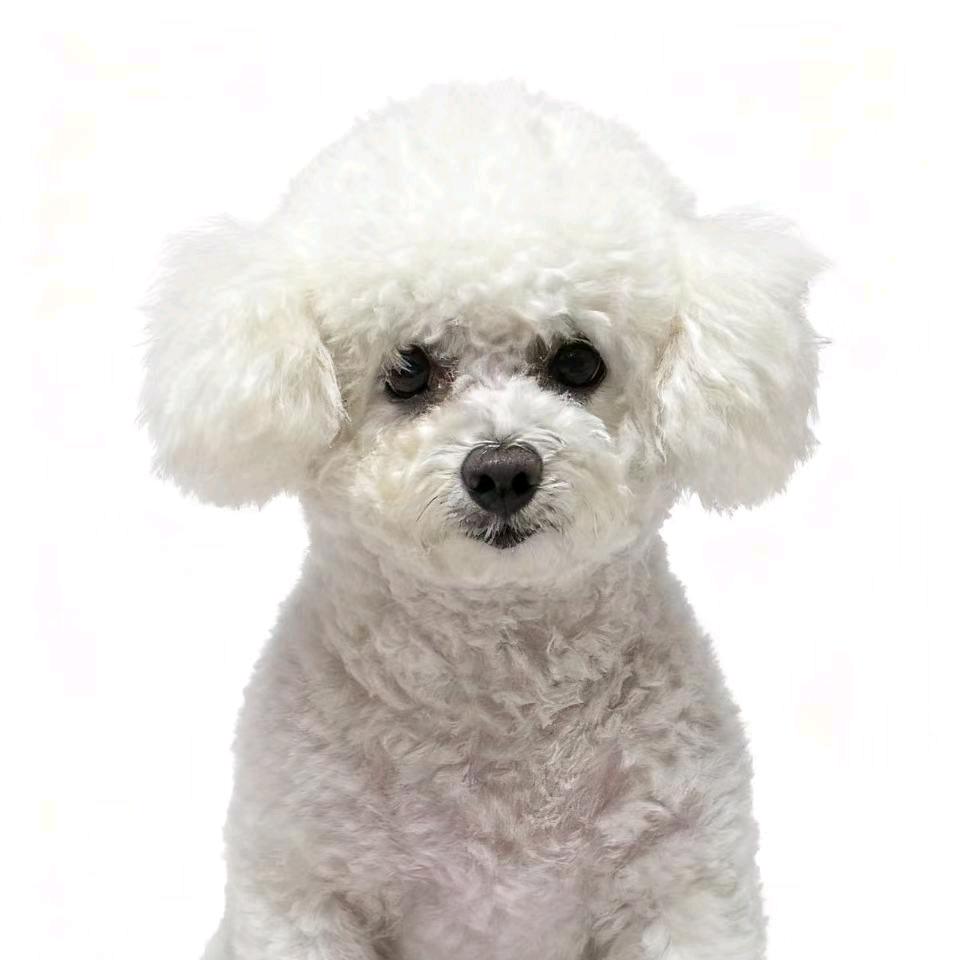 快乐就这么简单