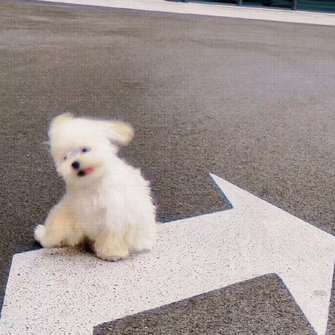 好运加倍🍀