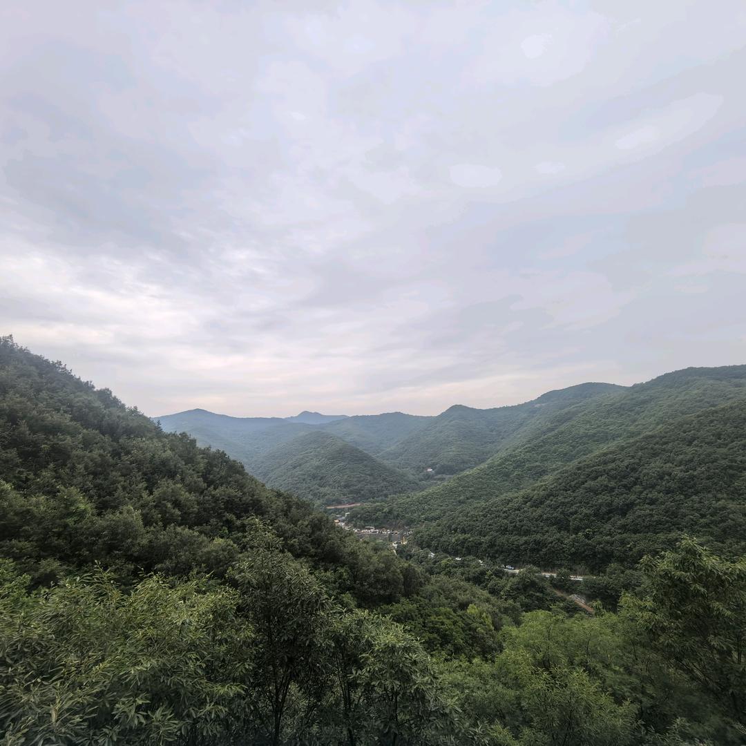 明天会更好