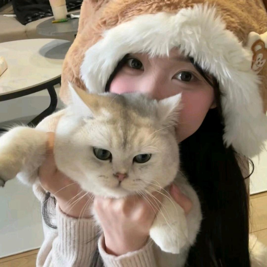 🐱招.财.猫🐱