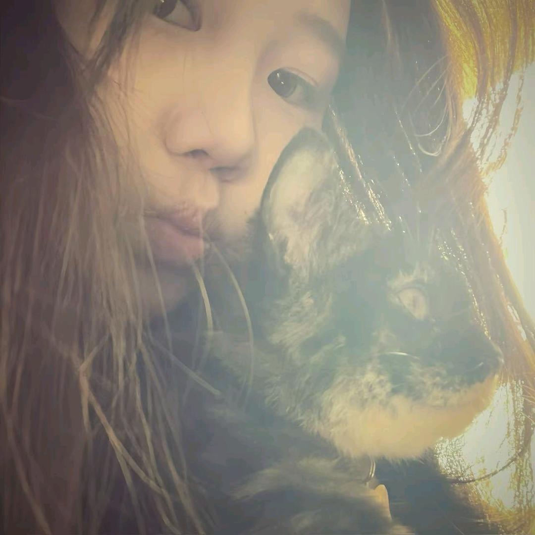 Jia·
