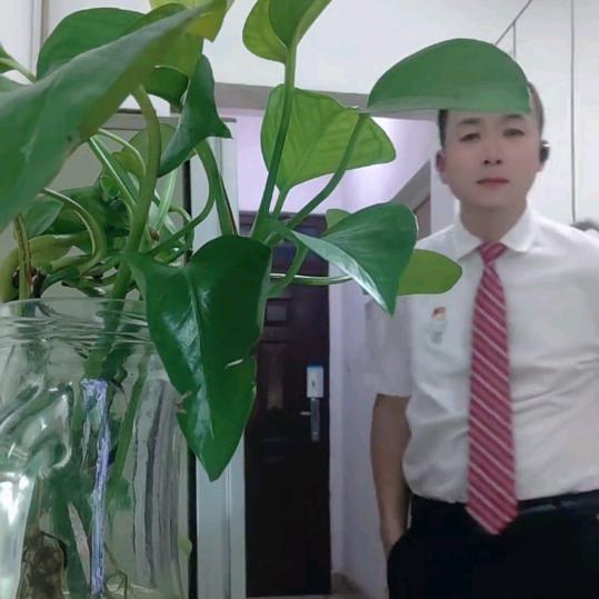 千杯不醉