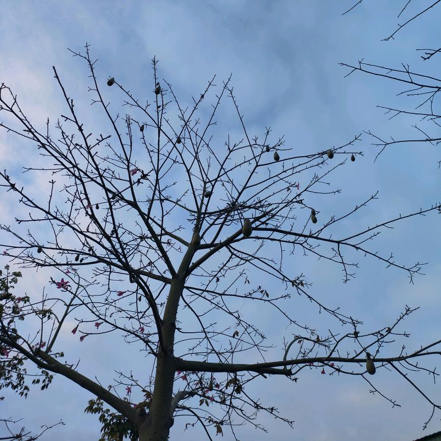 下一站美好