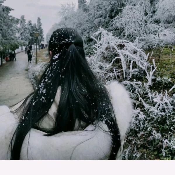 陈家大小姐