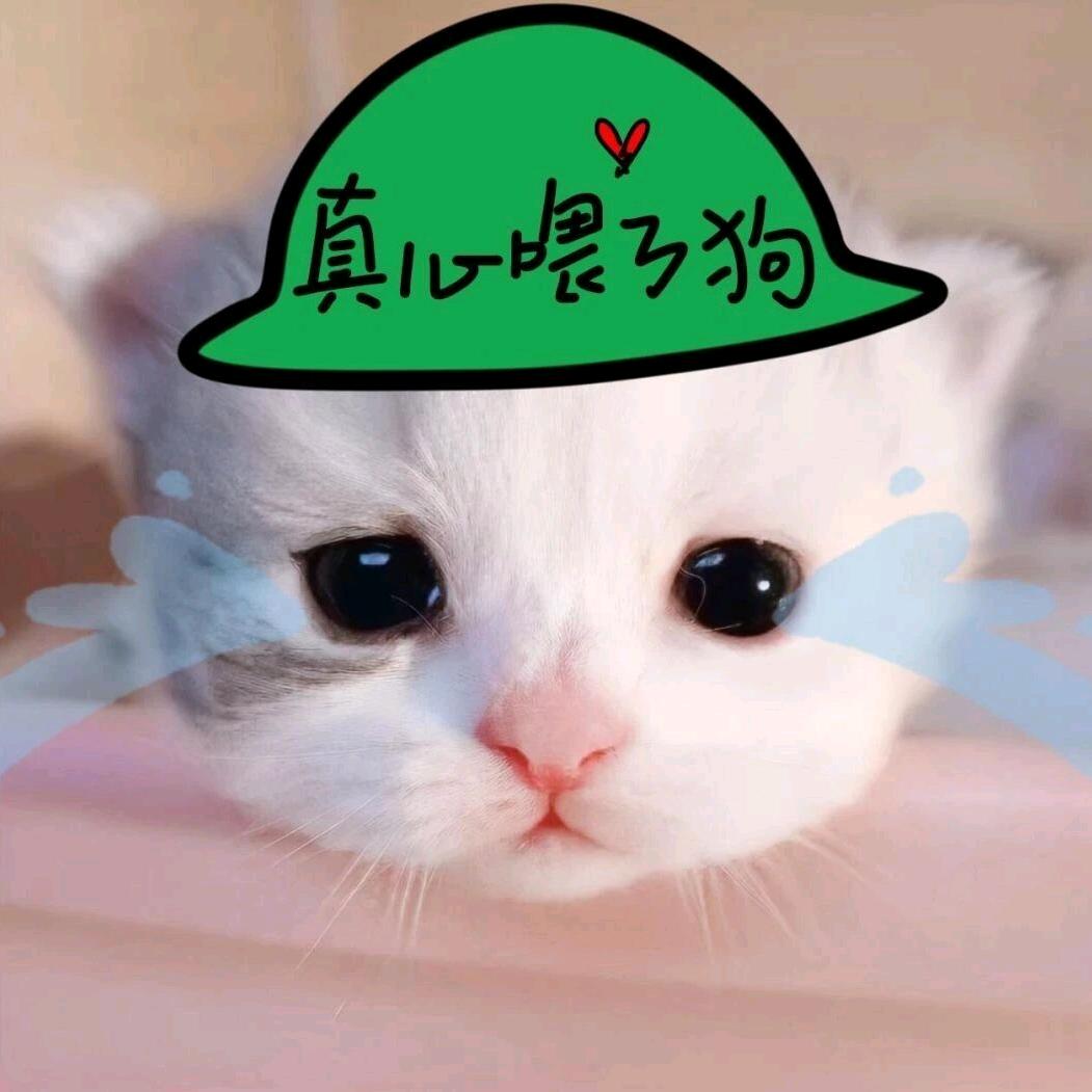 chi呆