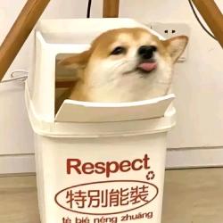 中午吃什么