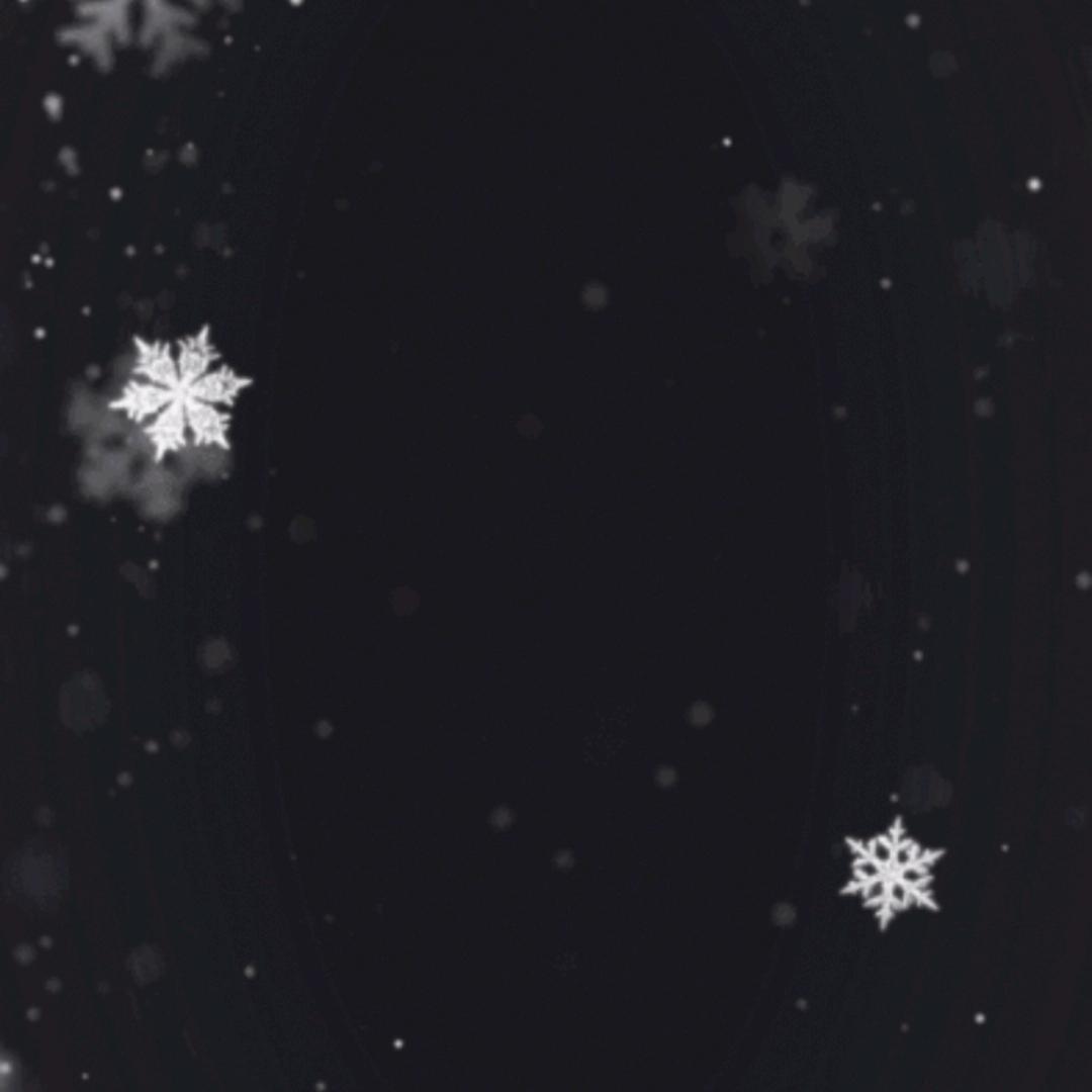 n哥-搬砖项目带队