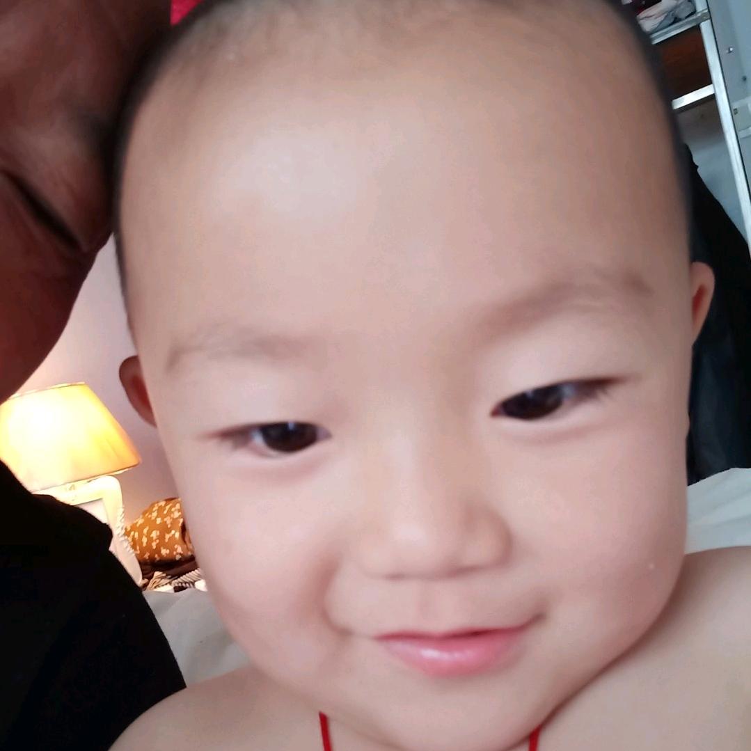 春天的花