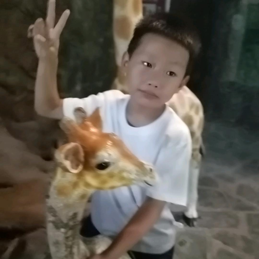 zq贵