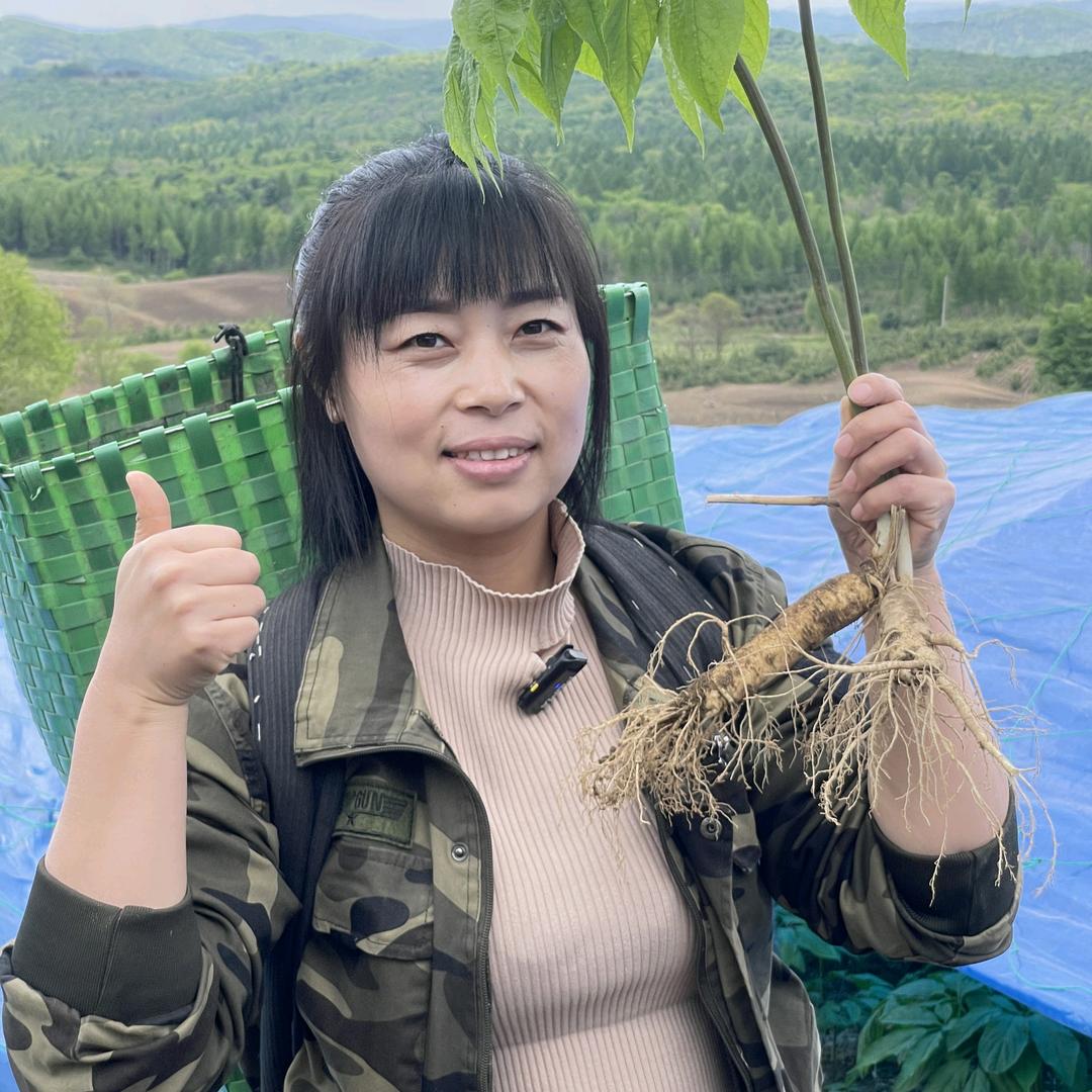 老杨小杨