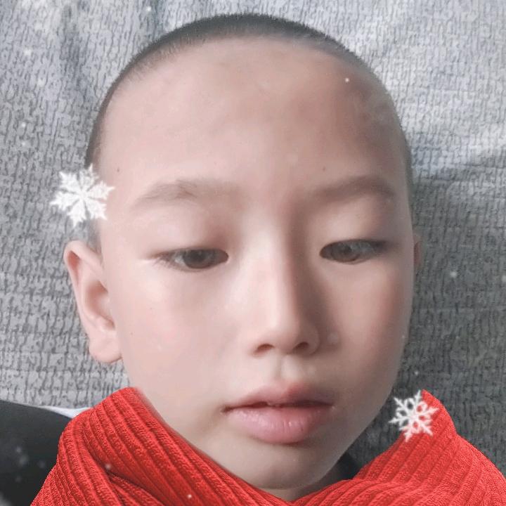 闫敬文头像