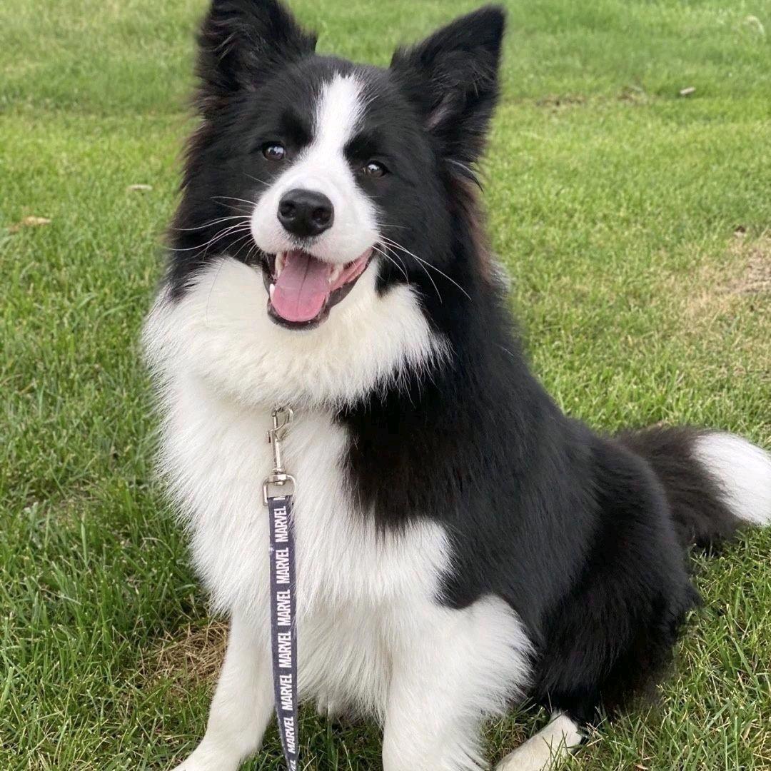 人不犯我，我就不犯人